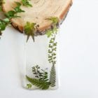 green dried flower with fern fern and felt case