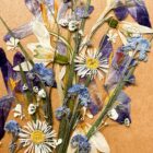 lovely bouquet dry flowers frame